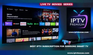 iptv smarters subscription 1