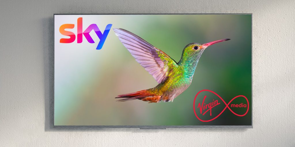 sky uk tv app